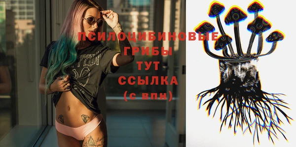 мет Снежногорск