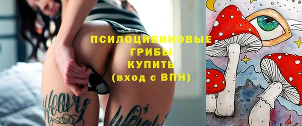 мет Снежногорск